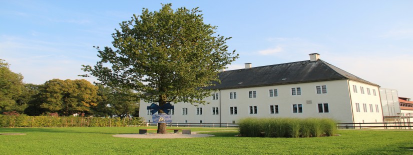 Baum Benkhausen